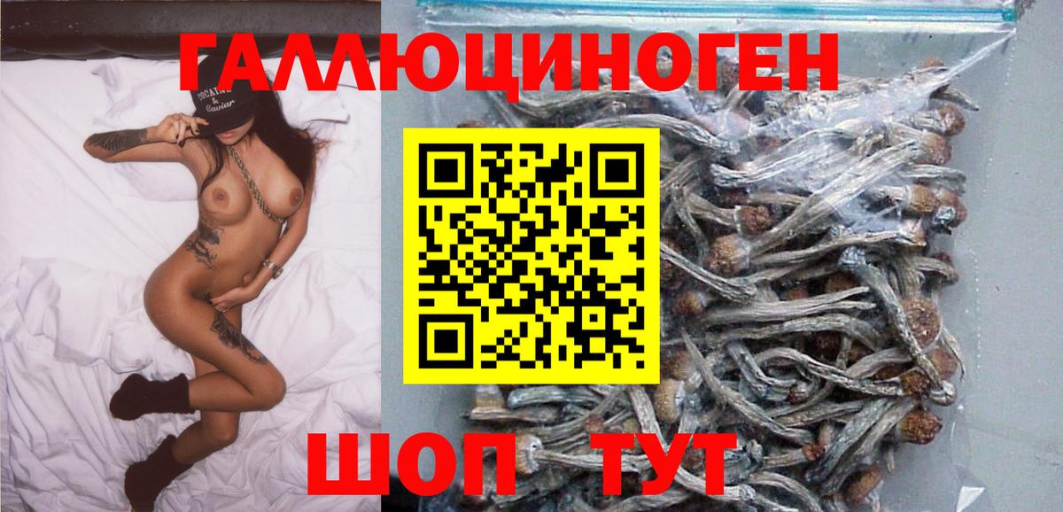 Еманжелинск  Галлюциногенные грибы ЛСД  Вход с VPN 